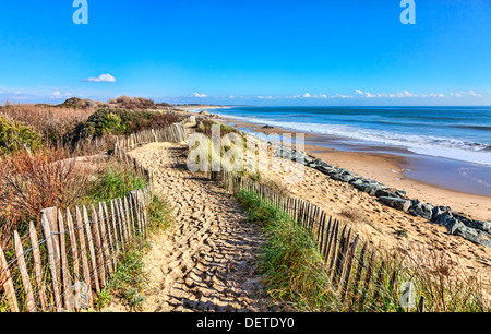 Sentier entre les barrières en bois sur les dunes de l'Atlantique en Bretagne, dans le nord-ouest de la France. Banque D'Images