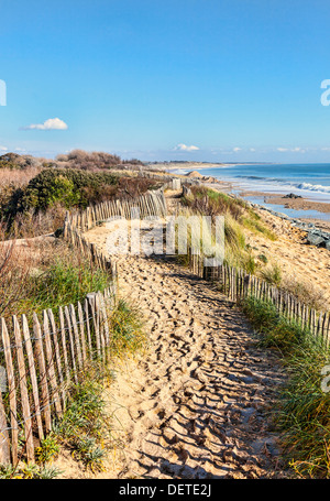 Sentier entre les barrières en bois sur les dunes de l'Atlantique en Bretagne, dans le nord-ouest de la France. Banque D'Images