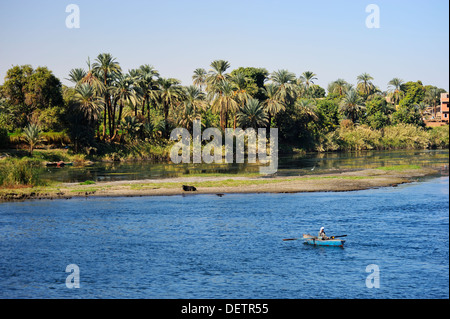 Terres agricoles luxuriantes sur les rives de la rivière du Nil entre Assouan et Louxor, Égypte Banque D'Images