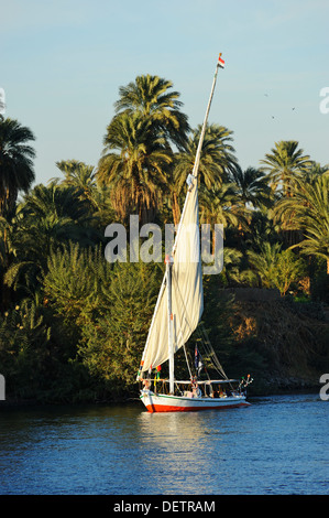 Déploiement de la voile sur felouque Nil entre Assouan et Louxor, Égypte Banque D'Images