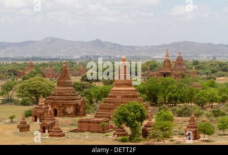 Vue de temples dans la plaine centrale de Bagan. Banque D'Images