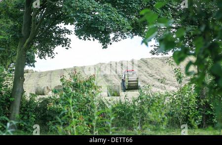 Tracteur et machine de pressage pour presser de l'herbe coupée et laissée sécher au soleil, été, Angleterre, Royaume-Uni Banque D'Images