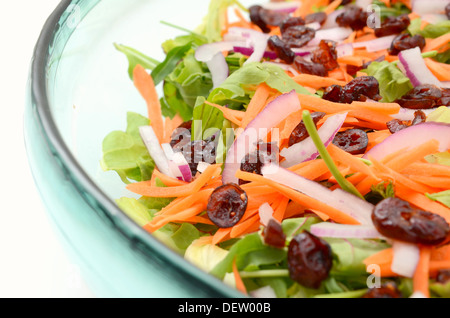 Salade colorée mixtes de cranberry et de carottes avec feuilles de laitue et de bébé Banque D'Images