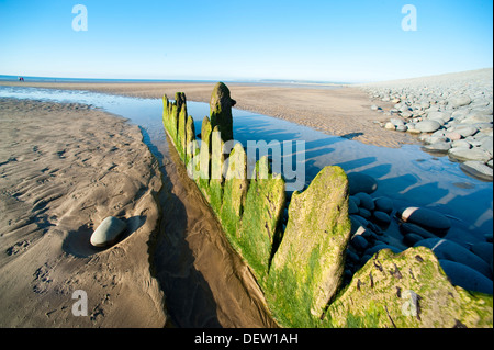 Brise-lames qui pourrissent sur la plage à Westward Ho !, Devon, England, UK Banque D'Images