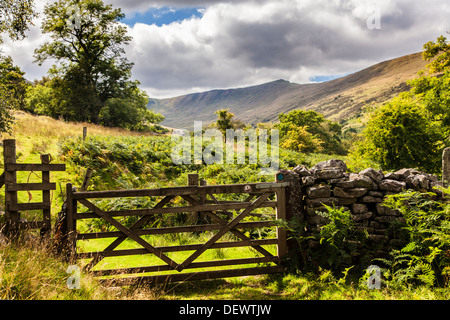 Une porte en bois cinq barres à travers un sentier public dans le MCG Oergwm dans le parc national de Brecon Beacons. Banque D'Images