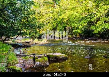 La rivière Usk près de Llangynidr dans le parc national de Brecon Beacons, le Pays de Galles. Banque D'Images