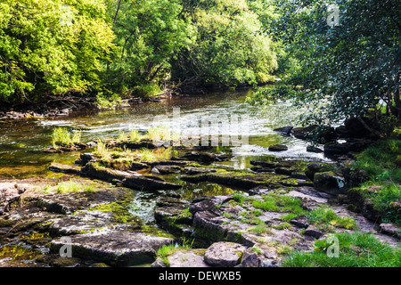 La rivière Usk près de Llangynidr dans le parc national de Brecon Beacons, le Pays de Galles. Banque D'Images