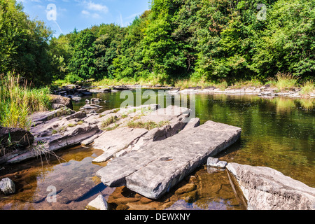 La rivière Usk près de Llangynidr dans le parc national de Brecon Beacons, le Pays de Galles. Banque D'Images