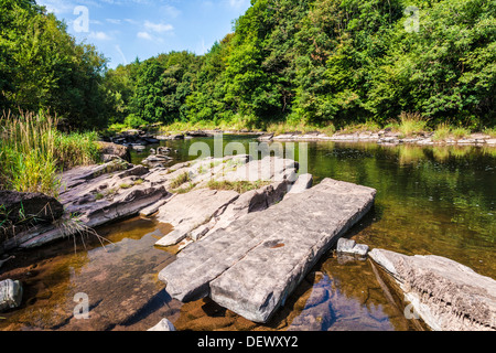 La rivière Usk près de Llangynidr dans le parc national de Brecon Beacons, le Pays de Galles. Banque D'Images