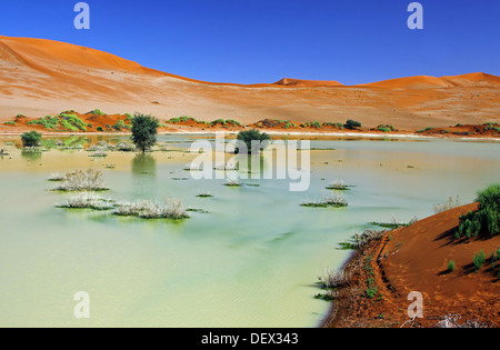 L'eau à Sossusvlei, Namibie, saison de pluie Banque D'Images