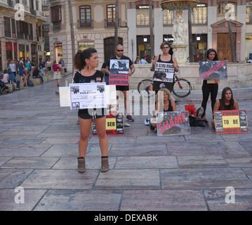 Un anti-corridas manifestation à Málaga, Andalousie, espagne Banque D'Images