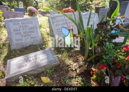 Les pierres tombales des propriétaires d'animaux dans le cimetière pour animaux de Hartsdale dans Hartsdale dans le comté de Westchester dans l'État de New York Banque D'Images