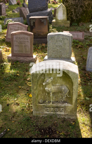 Les pierres tombales des propriétaires d'animaux dans le cimetière pour animaux de Hartsdale dans Hartsdale dans le comté de Westchester dans l'État de New York Banque D'Images