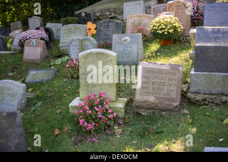 Les pierres tombales des propriétaires d'animaux dans le cimetière pour animaux de Hartsdale dans Hartsdale dans le comté de Westchester dans l'État de New York Banque D'Images