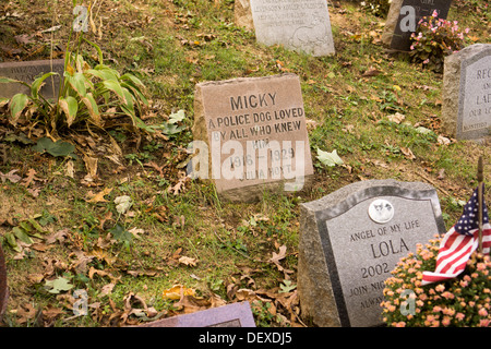 Les pierres tombales des propriétaires d'animaux dans le cimetière pour animaux de Hartsdale dans Hartsdale dans le comté de Westchester dans l'État de New York Banque D'Images