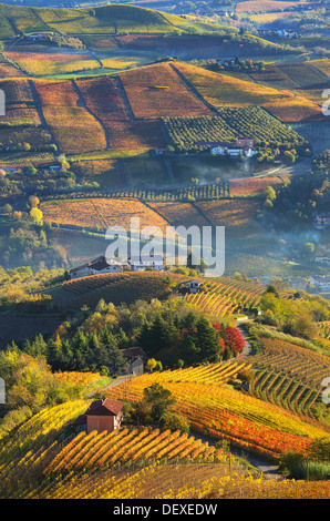 Image orientée verticale de maisons rurales sur les collines d'automne au milieu des vignobles des Langhe dans le Piémont, en Italie. Banque D'Images