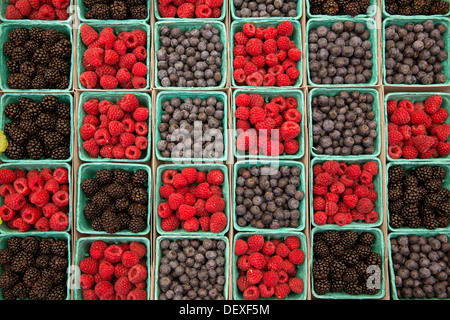 Les petits fruits Bleuets Framboises et mûres dans une rangée sur les cases vertes au cours du marché Banque D'Images