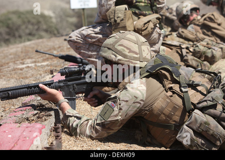 Les commandos de l'armée britannique avec la 148e Batterie, 29e de l'appui-feu, de l'équipe de commando de l'Artillerie royale, maintenir la sécurité pendant l'exercice 2013, Chase birman un exercice d'entraînement bilatéral entre les forces militaires américaines et britanniques à bord de Camp Pendleton, en Californie, le 10 septembre. Banque D'Images