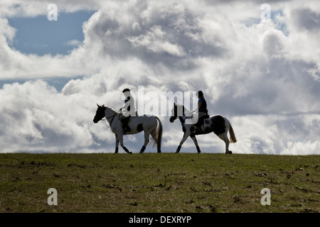 Le Warwickshire Hunt British equestrian Team Chase Hunter et essais cliniques Banque D'Images