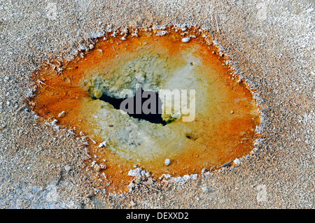 Hot Spring dans le West Thumb Geyser Basin, Parc National de Yellowstone, Wyoming, USA Banque D'Images