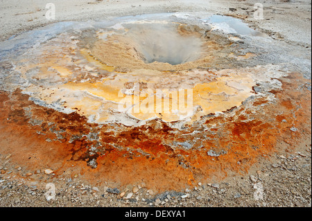 Au printemps, la moutarde Hot spring, Biscuit Basin, Parc National de Yellowstone, Wyoming, USA Banque D'Images