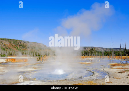 Spouter Geyser, bassin de sable noir, Parc National de Yellowstone, Wyoming, USA Banque D'Images