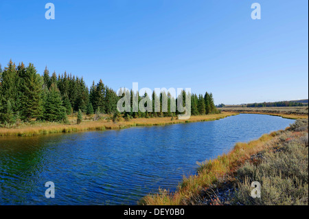 Snake River, Grand Teton National Park, Wyoming, USA Banque D'Images