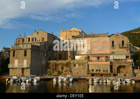 Maisons sur le port d'Erbalunga au Cap Corse, Corse, France, Europe Banque D'Images