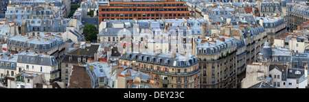 Les toits de Paris vu de la tour de la Cathédrale Notre Dame, Notre Dame de Paris, Paris, Ile-de-France, France, Europe Banque D'Images