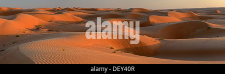 Dunes de sable dans la lumière du soir, Wahiba Sands, Ramlat al-Sharqiya Sands Wahiba, ou Ivry, Oman, Banque D'Images