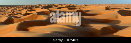 Dunes de sable dans la lumière du matin, Wahiba Sands, Ramlat al-Sharqiya Sands Wahiba, ou Ivry, Oman, Banque D'Images