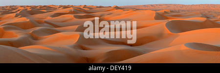 Dunes de sable dans la lumière du matin, Wahiba Sands, Ramlat al-Sharqiya Sands Wahiba, ou Ivry, Oman, Banque D'Images