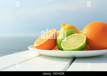 Les oranges, citrons et limes par la côte Banque D'Images