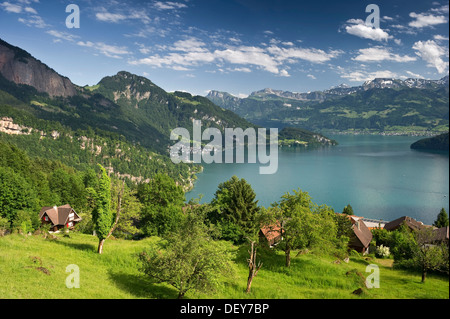 Vue de Telli vers le sud, Weggis, le lac de Lucerne, Canton de Lucerne, Suisse, Europe Banque D'Images