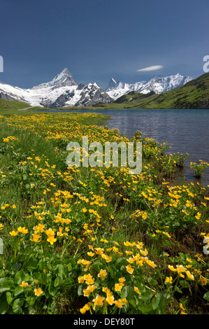 Lac de Bachalp près de Grindelwald, montagnes Faulhorn et Finsteraarhorn au dos, Oberland Bernois, Canton de Berne, Suisse Banque D'Images