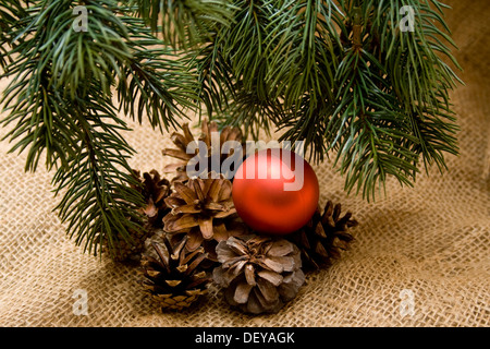 Boule de Noël avec bouchon de pin Banque D'Images