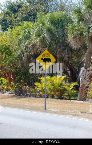 Panneau d'avertissement, gopher tortues qui traversent la route, Sanibel Island, Florida, United States Banque D'Images