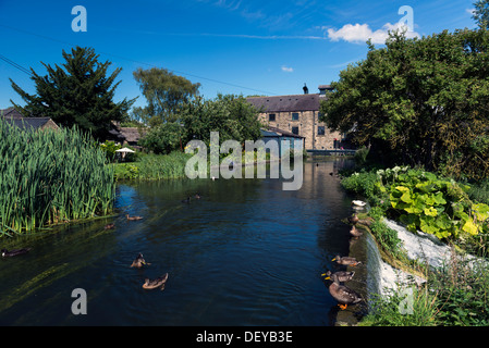 Moulin de Caudwell un travail historique 19e siècle moulin à farine sur la rivière Wye dans le Derbyshire Peak District Banque D'Images