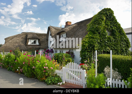 Thatched cottage et Chalet jardin, Nebel, Amrum, au nord de l'archipel Frison, Schleswig-Holstein Banque D'Images