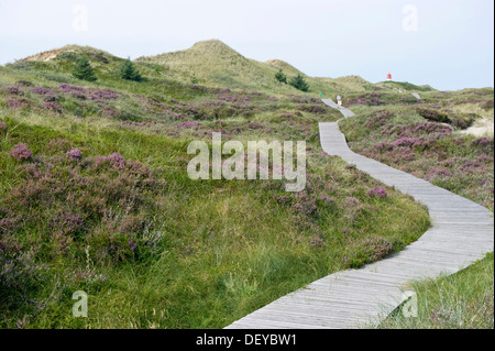 Chemin à travers les dunes et le phare à Norddorf, Amrum, Frise du Nord, Schleswig-Holstein Banque D'Images