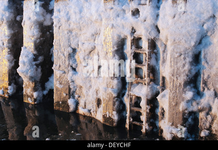 Bain de glace sur un quai dans le port de Hambourg, l'Elbe, Hambourg Banque D'Images