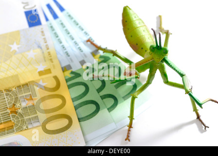 Locust sur bank note, image symbolique pour les fonds de couverture Banque D'Images