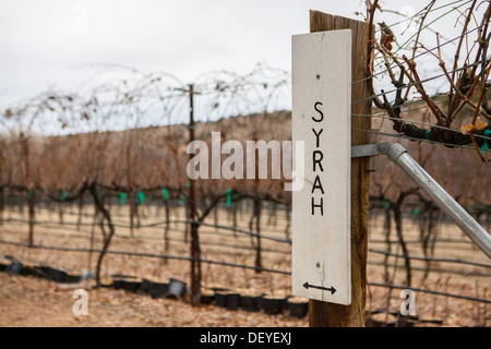 Une Syrah vignoble signe au cours de l'hiver près de Cottonwood dans l'Arizona, USA Banque D'Images