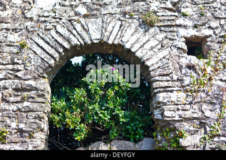 Voûte en pierre ancienne à Tenby, Pembrokeshire, Pays de Galles, Royaume-Uni Banque D'Images