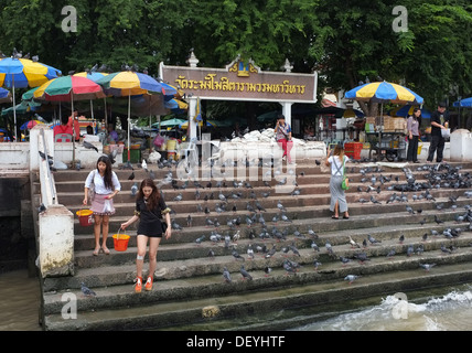 Les bouddhistes thaïlandais enlever les poissons dans la rivière à l'extérieur du temple Wat Rakang, Bangkok Banque D'Images