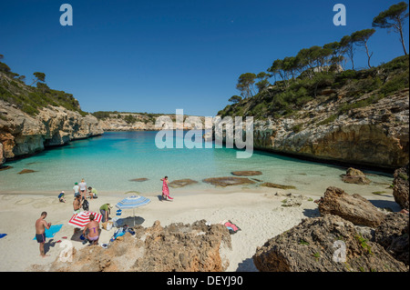 Baie avec plage de sable et de pins, Cala Moro, Santanyi, Majorque, Îles Baléares, Espagne Banque D'Images