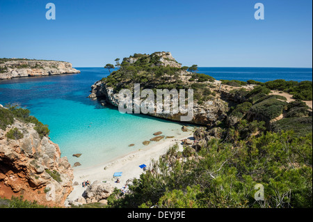 La baie de la mer avec plage et pin, Cala Moro, Santanyi, Majorque, Îles Baléares, Espagne Banque D'Images