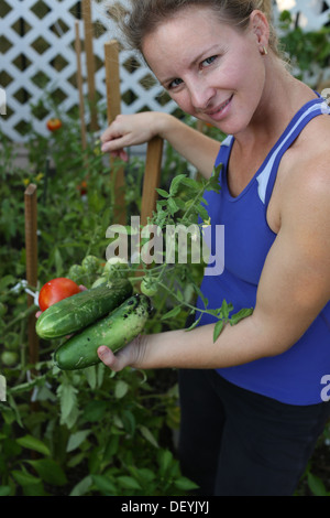 Les femmes d'âge moyen de sa récolte de tomates biologiques et cucambers de son jardin verdoyant. Banque D'Images