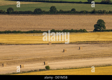 Balles de foin récolté récemment stand dans le domaine tels les anciens mégalithes, vu du haut de Ivinghoe Beacon, Bucks Banque D'Images