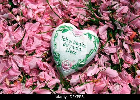 Coeur avec les mots "Ich schenke dir mein Herz' je vous donne mon cœur, sur les fleurs de cerisier, cerisier japonais Banque D'Images